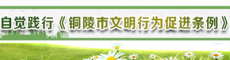 主題活動縮略圖副本.jpg